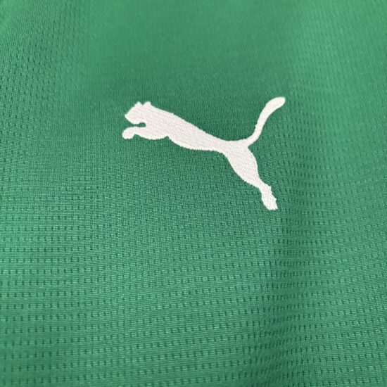 Camisa Palmeiras I 26/27 Torcedor Masculina - Imagem 6