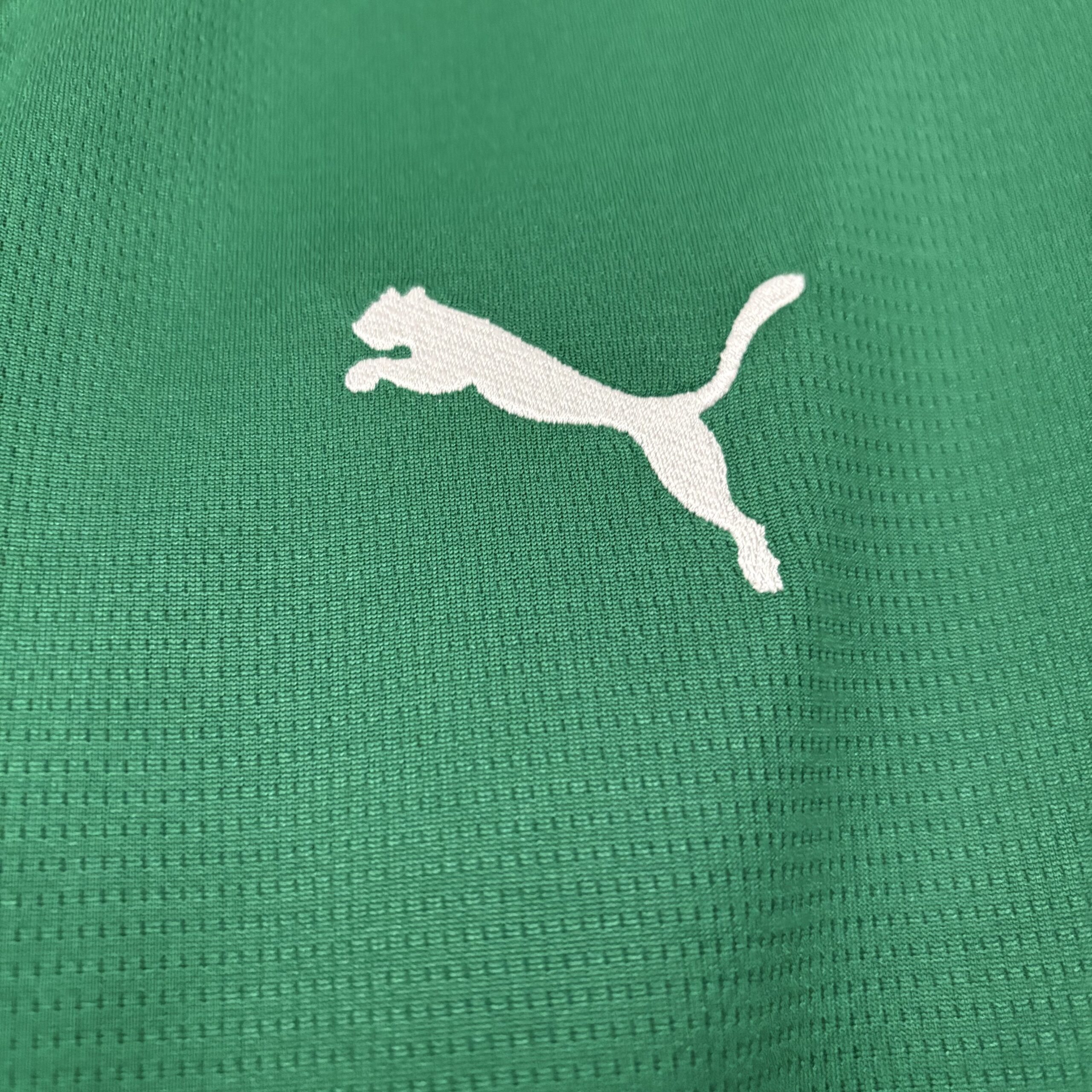 Camisa Palmeiras I 26/27 Torcedor Masculina - Imagem 6