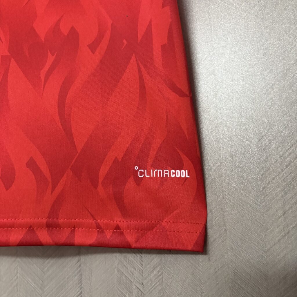 Camisa Bélgica I 2026 Torcedor Masculina